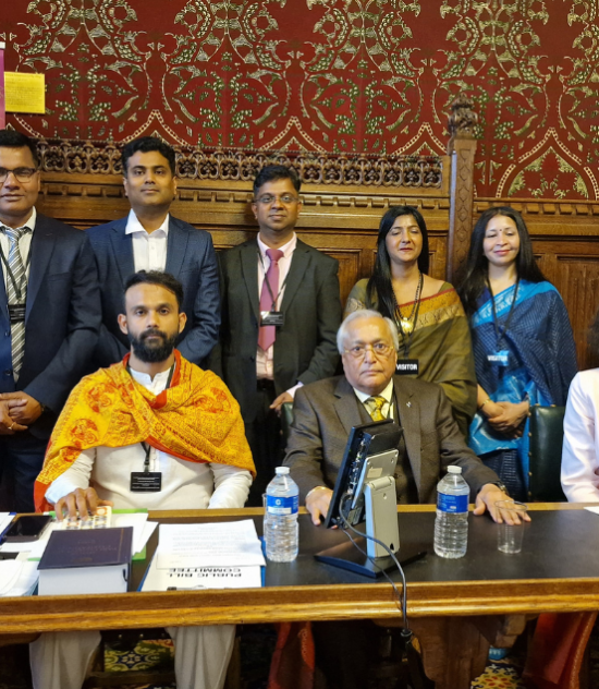 FISI-UK panel at the UK Parliament